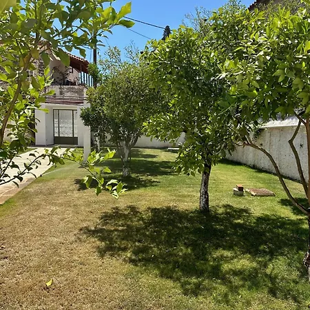 Апартаменты Alexander House 1 Леонидион